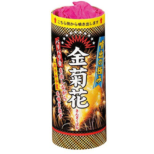 金菊花(きんきくばな)